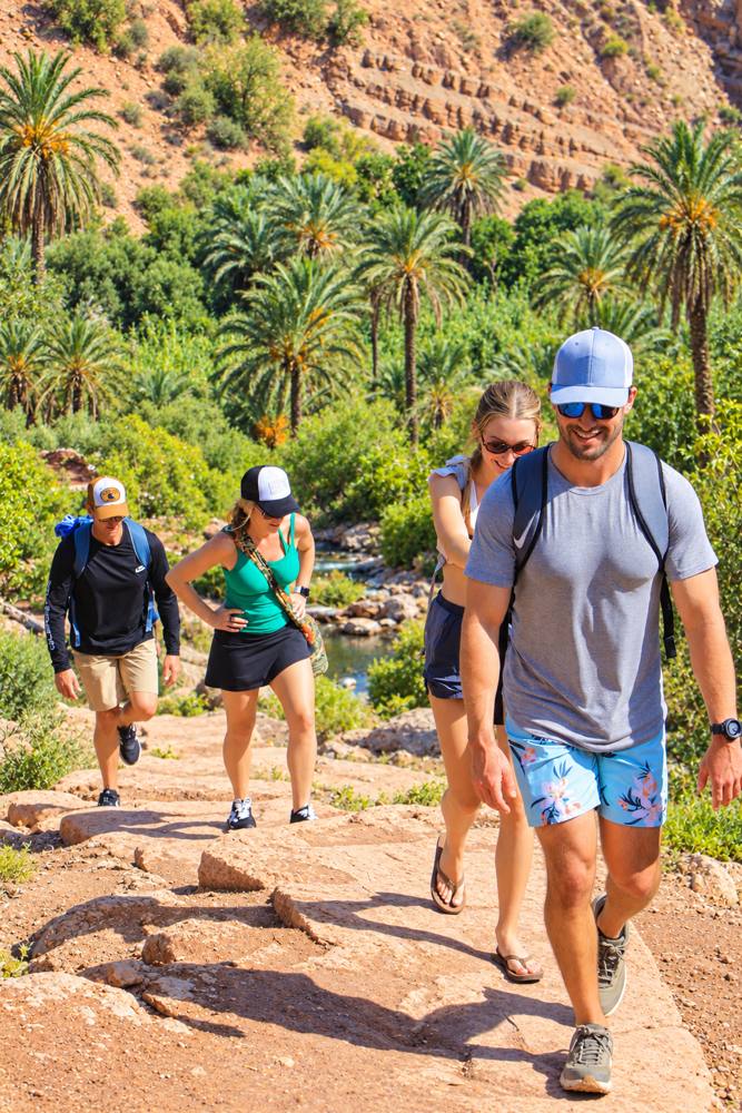 Hikers walking through the palm groves of Paradise Valley
